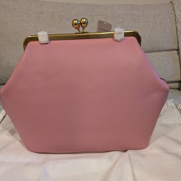 Extremely rare Coach Kisslock Frame in π©· Pink! - Picture 4 of 12